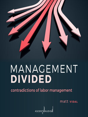 cover image of Management Divided
